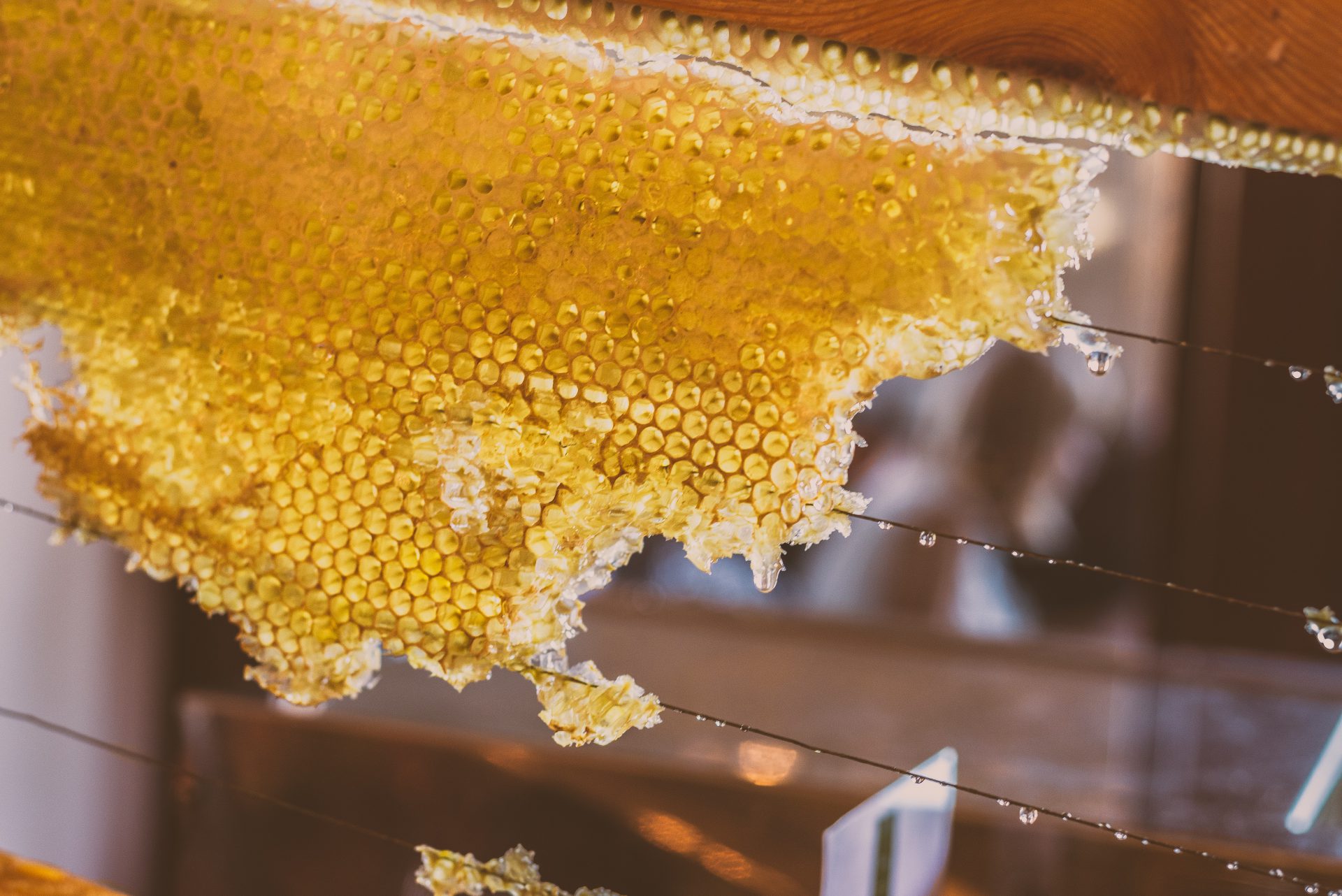 Raw Honey Bee Delightful